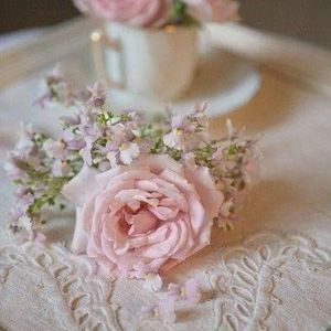 Meet your Posher, Subrena